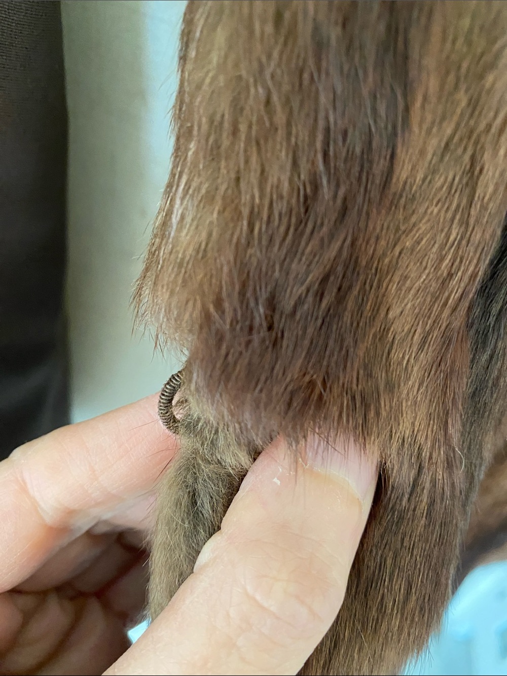 Mink Fur Cape/Stole Coat - Picture 10 of 12